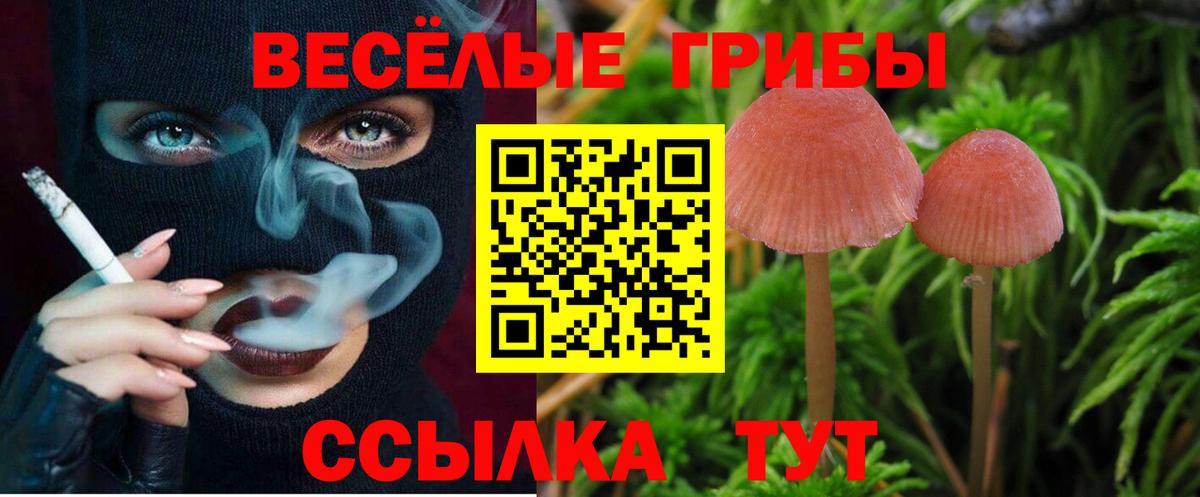 Псилоцибиновые грибы мухоморы  Вход с VPN  Лобня  Псилоцибиновые грибы Psilocybine cubensis 